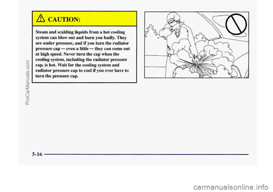 GMC ENVOY 1998 Owners Manual CAC JON:
Steam and scalding liquids from a hot cooling
system can blow out and burn you badly. They
are under pressure, and if you turn the radiator
pressure cap
-- even a little -- GMC ENVOY 1998 Owners Manual CAC JON:
Steam and scalding liquids from a hot cooling
system can blow out and burn you badly. They
are under pressure, and if you turn the radiator
pressure cap
-- even a little --