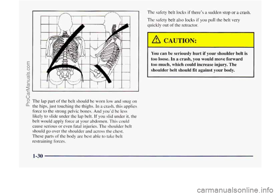 GMC ENVOY 1998 Owners Guide The lap part of the belt should be worn low and snug on
the hips, just touching the thighs.
In a crash. this applies
force to the strong pelvic bones. And youd be less
likely to slide und GMC ENVOY 1998 Owners Guide The lap part of the belt should be worn low and snug on
the hips, just touching the thighs.
In a crash. this applies
force to the strong pelvic bones. And youd be less
likely to slide und