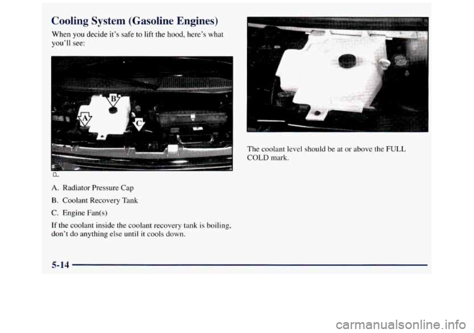 GMC SAVANA 1998  Owners Manual Cooling  System  (Gasoline  Engines) 
When you decide it’s safe  to  lift  the  hood,  here’s  what 
you’ll  see: 
.. . 
A. Radiator  Pressure Cap 
B. Coolant  Recovery  Tank 
C. Engine Fan(s) 
