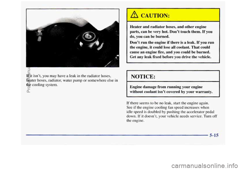 GMC SAVANA 1998 Owners Manual If it isn’t, you may have a leak in the radiator hoses,
heater hoses, radiator, water pump or somewhere else
in
the cooling system.
Heater and radiator hoses, and other engine
pa GMC SAVANA 1998 Owners Manual If it isn’t, you may have a leak in the radiator hoses,
heater hoses, radiator, water pump or somewhere else
in
the cooling system.
Heater and radiator hoses, and other engine
pa