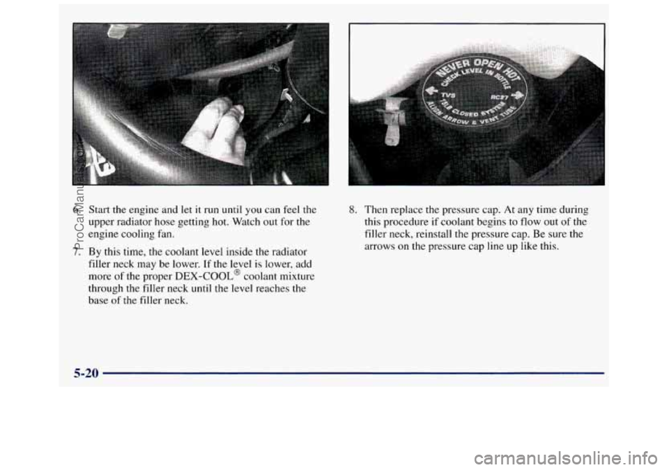 GMC SAVANA 1998 Owners Manual 6.
7.
Start the engine and let it run until you can feel the
upper radiator hose getting
hot. Watch out for the
engine cooling fan.
By this time, the coolant level inside the radiat GMC SAVANA 1998 Owners Manual 6.
7.
Start the engine and let it run until you can feel the
upper radiator hose getting
hot. Watch out for the
engine cooling fan.
By this time, the coolant level inside the radiat