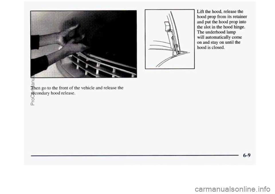 GMC SAVANA 1998 Owners Manual Lift the hood, release the
hood prop from its retainer
and put the hood prop into
the slot in the hood hinge.
The underhood lamp will automatically come
on and stay on until th GMC SAVANA 1998 Owners Manual Lift the hood, release the
hood prop from its retainer
and put the hood prop into
the slot in the hood hinge.
The underhood lamp will automatically come
on and stay on until th