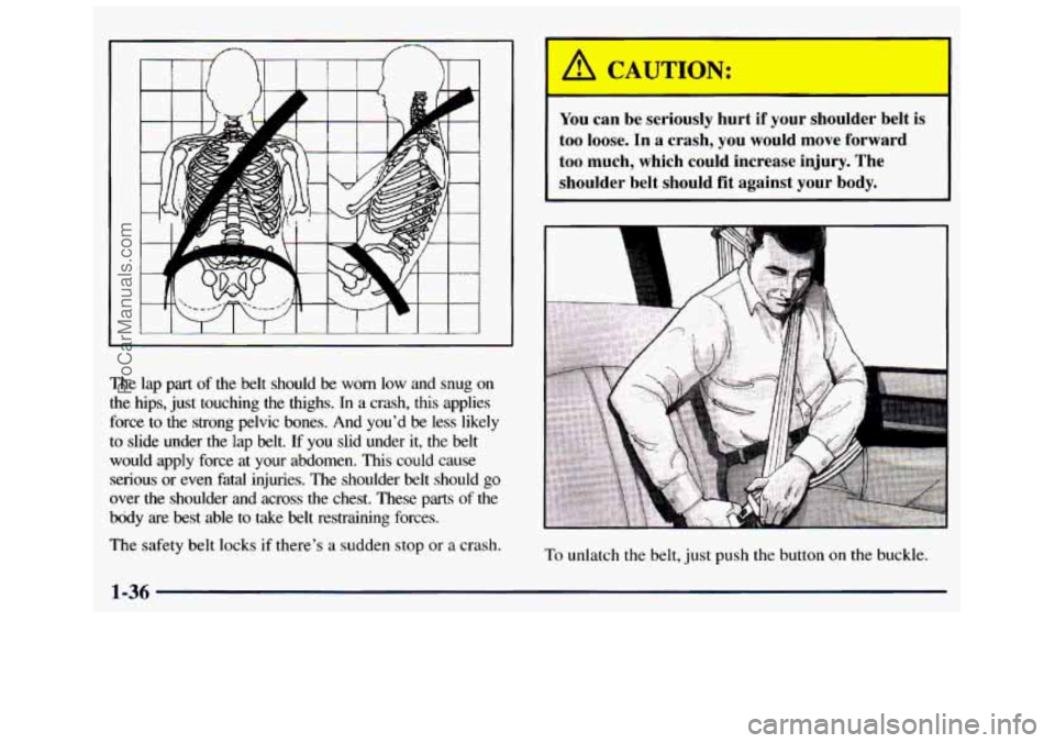 GMC SAVANA 1998 Service Manual The lap  part  of  the  belt  should  be  worn  low  and  snug on 
the  hips,  just  touching  the  thighs. In a  crash, this applies 
force  to the  strong  pelvic 
bones. And  you’d be less  likel