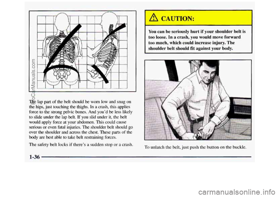 GMC SAVANA 1998 Service Manual The lap part of the belt should be worn low and snug on
the hips, just touching the thighs. In a crash, this applies
force to the strong pelvic
bones. And you’d be less likel GMC SAVANA 1998 Service Manual The lap part of the belt should be worn low and snug on
the hips, just touching the thighs. In a crash, this applies
force to the strong pelvic
bones. And you’d be less likel