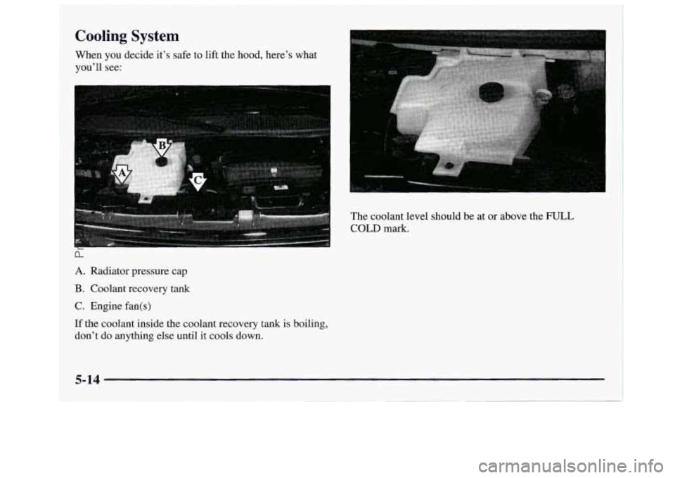 GMC SAVANA 1997  Owners Manual Cooling System 
When you decide it’s safe to lift the  hood,  here’s  what 
you’ll  see: 
The  coolant  level  should be  at or above  the 
FULL 
COLD mark. 
A. Radiator  pressure  cap 
B. Coola