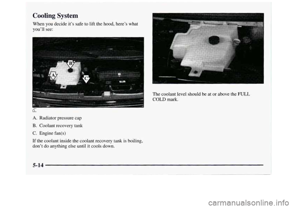 GMC SAVANA 1997 Owners Manual Cooling System
When you decide it’s safe to lift the hood, here’s what
you’ll see:
The coolant level should be at or above the
FULL
COLD mark.
A. Radiator pressure cap
B. Coola GMC SAVANA 1997 Owners Manual Cooling System
When you decide it’s safe to lift the hood, here’s what
you’ll see:
The coolant level should be at or above the
FULL
COLD mark.
A. Radiator pressure cap
B. Coola