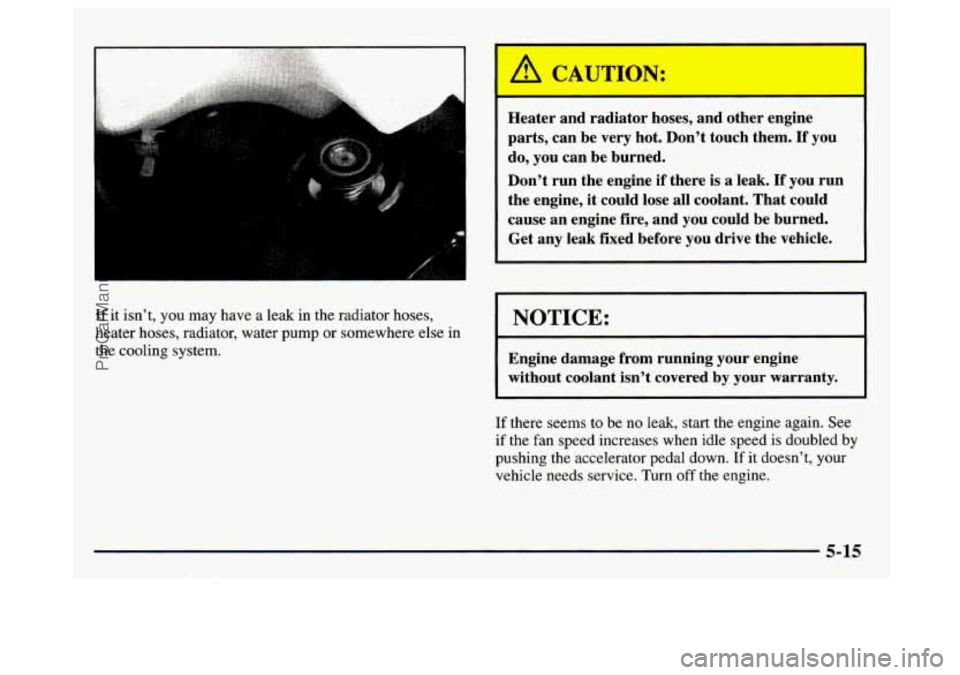 GMC SAVANA 1997  Owners Manual If it isn’t, you may have a leak in the  radiator hoses, 
heater hoses, radiator, water pump  or somewhere  else in 
the cooling system. 
A CAUTION: 
Heater  and radiator  hoses, and other engine 
p