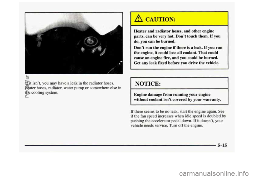 GMC SAVANA 1997 Owners Manual If it isn’t, you may have a leak in the radiator hoses,
heater hoses, radiator, water pump or somewhere else in
the cooling system.
A CAUTION:
Heater and radiator hoses, and other engine
p GMC SAVANA 1997 Owners Manual If it isn’t, you may have a leak in the radiator hoses,
heater hoses, radiator, water pump or somewhere else in
the cooling system.
A CAUTION:
Heater and radiator hoses, and other engine
p