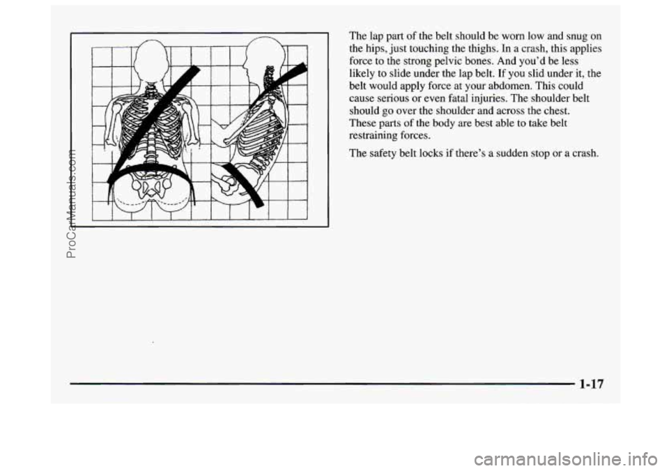 GMC SAVANA 1997 Owners Manual The lap  part  of the  belt  should  be  worn  low and snug  on 
the hips,  just touching  the thighs. In a crash, this applies 
force  to  the  strong pelvic  bones.  And  you’d  be less 
likely to