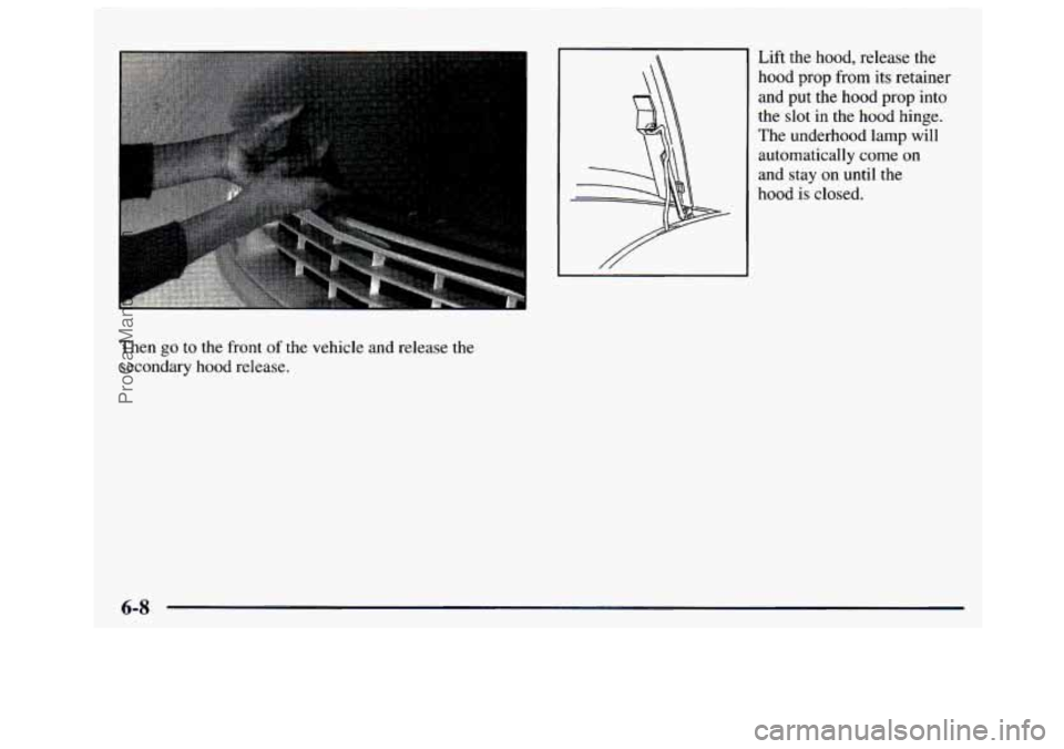 GMC SAVANA 1997 Owners Manual Lift the hood, release the hood prop from its retainer
and put the hood prop into
the slot
in the hood hinge.
The underhood lamp
will
automatically come on
and stay on until GMC SAVANA 1997 Owners Manual Lift the hood, release the hood prop from its retainer
and put the hood prop into
the slot
in the hood hinge.
The underhood lamp
will
automatically come on
and stay on until