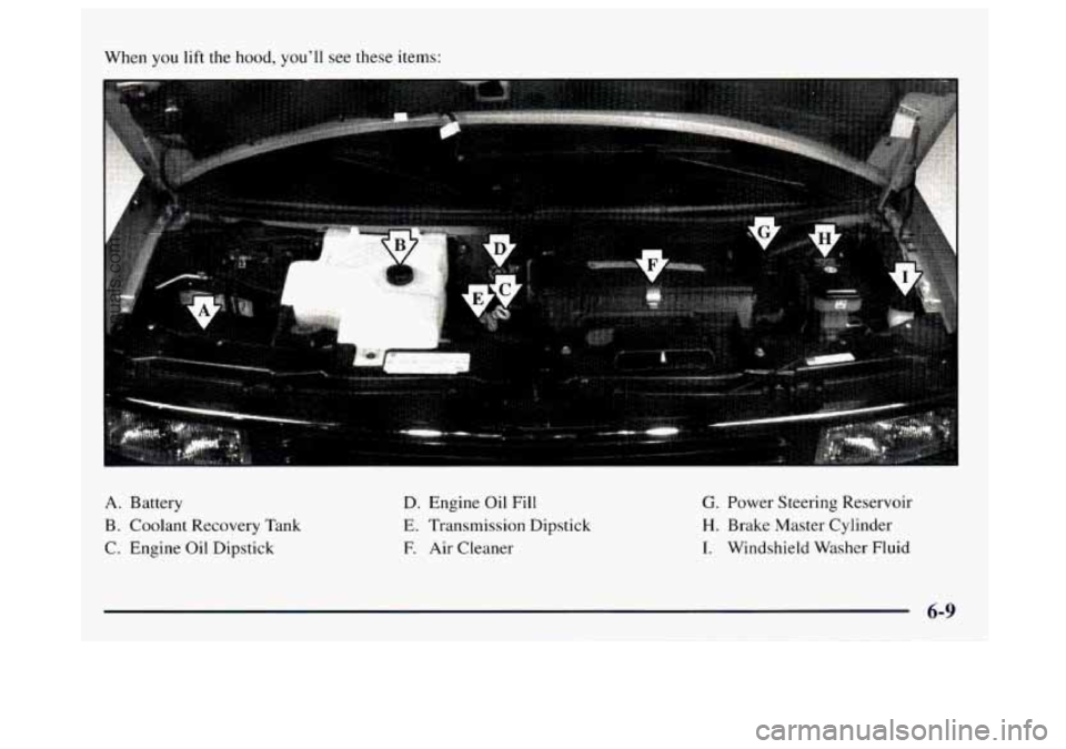 GMC SAVANA 1997 Owners Manual When you lift the hood, you’ll see these items:
A. Battery
B. Coolant Recovery Tank
C. Engine Oil Dipstick
D. Engine Oil Fill
E. Transmission Dipstick
E Air Cleaner
G. Power Steerin GMC SAVANA 1997 Owners Manual When you lift the hood, you’ll see these items:
A. Battery
B. Coolant Recovery Tank
C. Engine Oil Dipstick
D. Engine Oil Fill
E. Transmission Dipstick
E Air Cleaner
G. Power Steerin