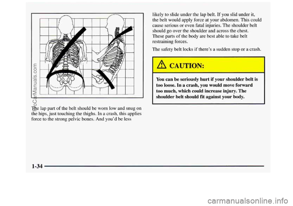 GMC SAVANA 1997 Service Manual I 
The lap part of the  belt  should  be  worn  low  and  snug  on 
the  hips,  just touching  the  thighs.  In  a crash,  this  applies 
force to  the  strong  pelvic  bones.  And  you’d  be  less 