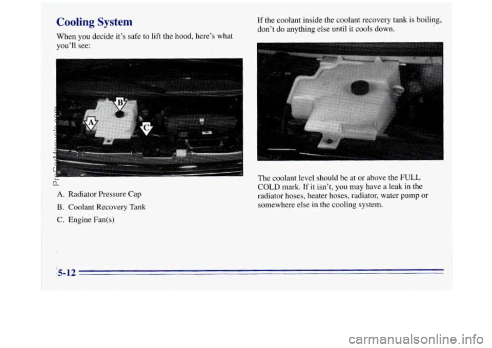 GMC SAVANA 1996  Owners Manual ’ 
Cooling System 
When you decide  it’s safe  to lift  the  hood, here’s what 
you’ll  see: 
A. Radiator Pressure  Cap 
B. Coolant Recovery  Tank 
C.  Engine Fan(s) 
If the  coolant  inside t