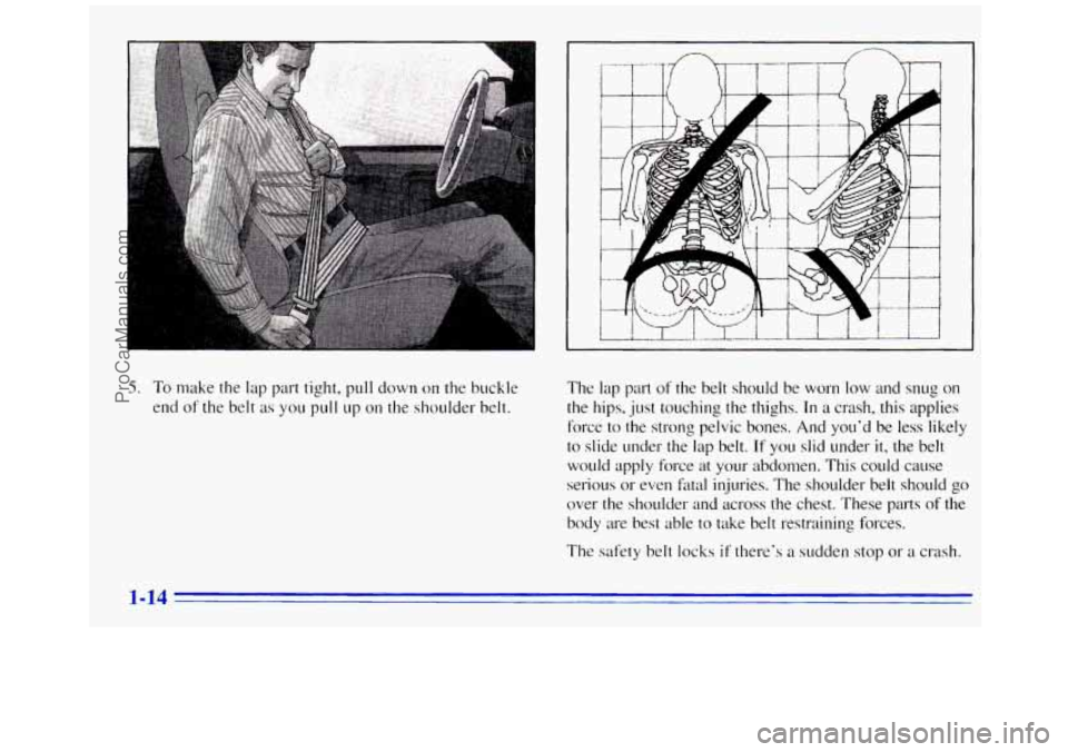 GMC SAVANA 1996 Owners Manual 1
5. To make the lap part tight, pull down 011 the buckle
end
of the belt as you pull up on the shoulder belt. The
lap part of the belt should be worn
low and snug on
the hips. just GMC SAVANA 1996 Owners Manual 1
5. To make the lap part tight, pull down 011 the buckle
end
of the belt as you pull up on the shoulder belt. The
lap part of the belt should be worn
low and snug on
the hips. just