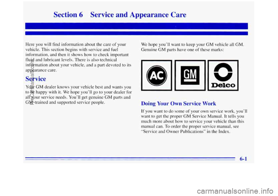 GMC SAVANA 1996  Owners Manual Section 6 Service  and  Appearance  Care 
Here you will find information about  the care of your 
vehicle.  This section begins 
with service  and fuel 
information,  and then 
it shows how to check i