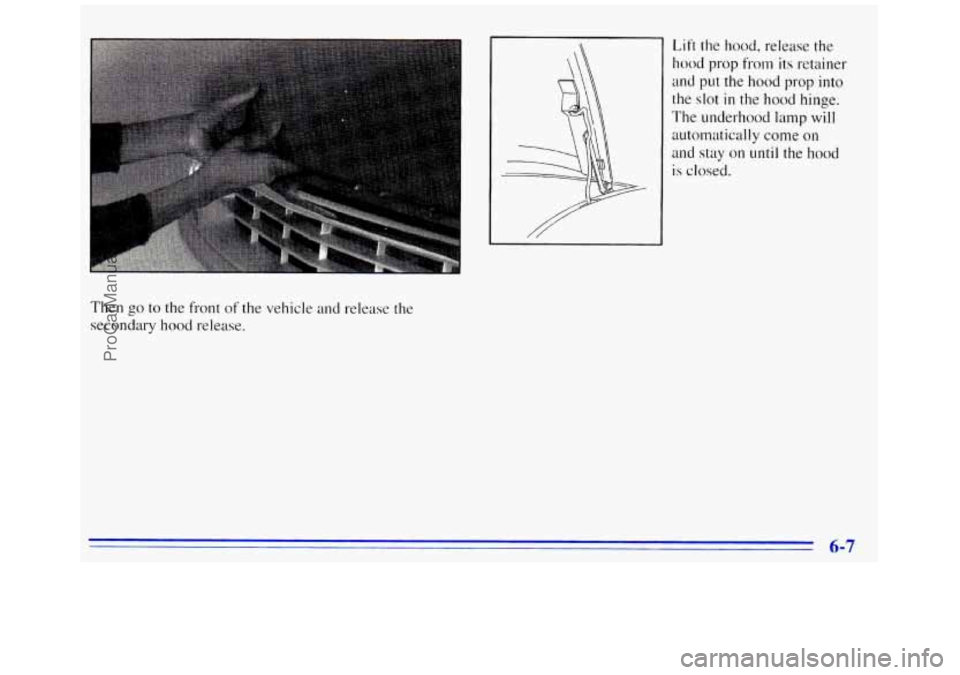 GMC SAVANA 1996  Owners Manual Lift  the hood, release the 
hood prop from  its retainer 
and put  the  hood  prop into 
the  slot 
in the  hood  hinge. 
The underhood lamp 
will 
autolnatically come  on 
and  stay  on 
until the h