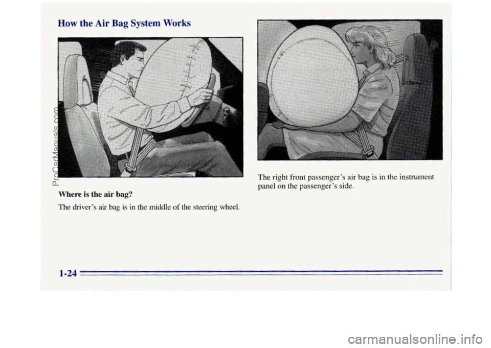 GMC SAVANA 1996 Owners Guide How the Air Bag System Works
The right front passenger’s air bag is
panel
on the passenger’s side. in
the instrument
Where is the air bag?
The driver’s air bag is in the middle of the GMC SAVANA 1996 Owners Guide How the Air Bag System Works
The right front passenger’s air bag is
panel
on the passenger’s side. in
the instrument
Where is the air bag?
The driver’s air bag is in the middle of the