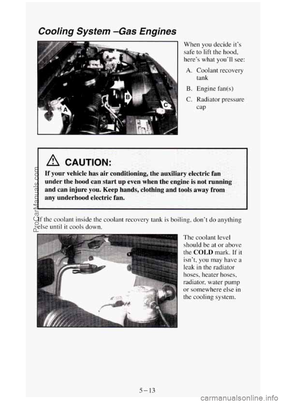 GMC SIERRA 1994  Owners Manual Cooling  System -Gas Engines 
When you decide  its 
safe  to  lift the hood, 
heres  what  youll see: 
A. Coolant recovery 
tank 
B. Engine fan(s) 
C. Radiator pressure 
cap 
A CAUTION: 
If your  v