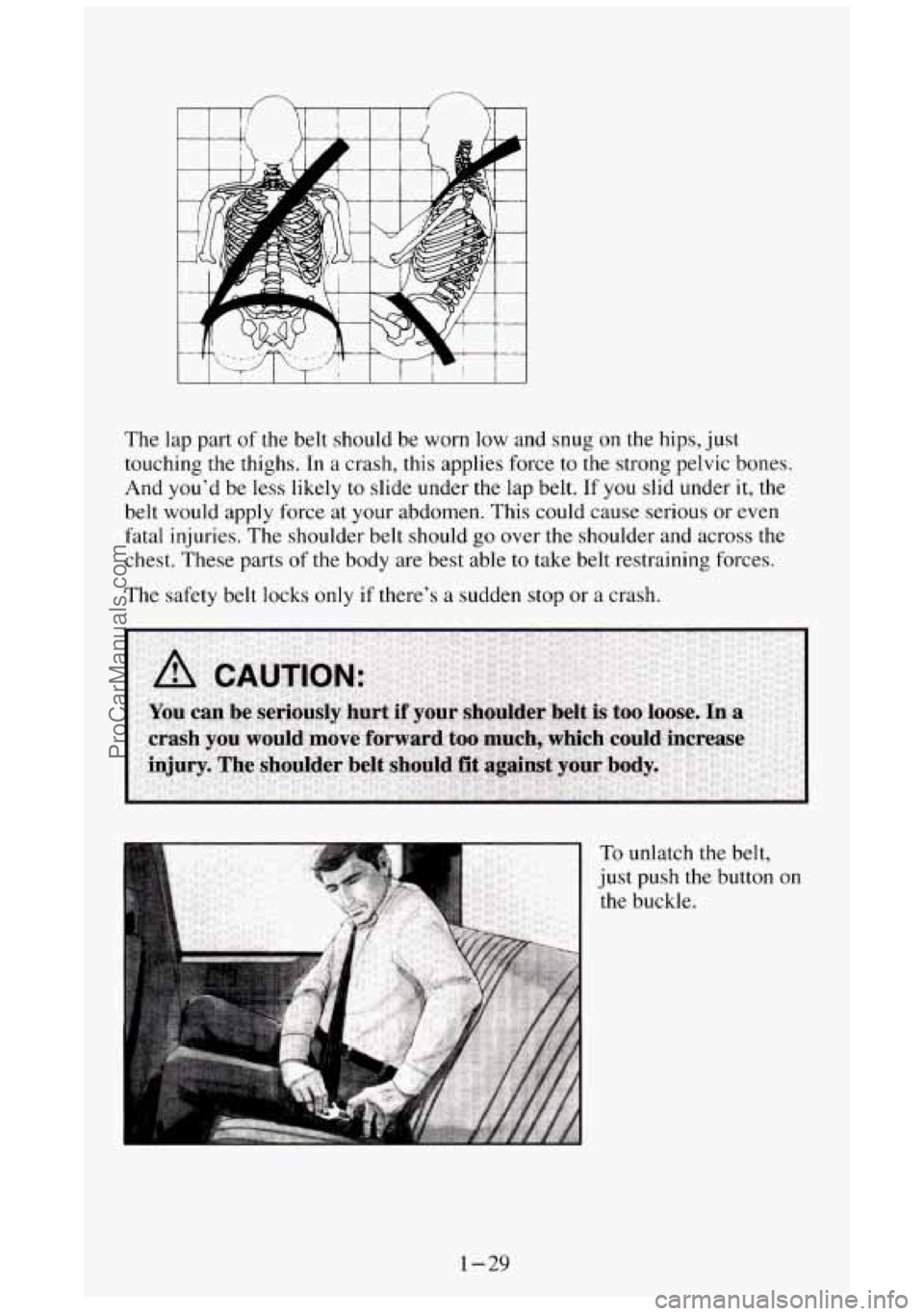 GMC SIERRA 1994 Service Manual The lap part of the belt should be worn low and snug on the hips, just
touching the thighs. In
a crash, this applies force to the strong pelvic bones.
And you’d be less likely GMC SIERRA 1994 Service Manual The lap part of the belt should be worn low and snug on the hips, just
touching the thighs. In
a crash, this applies force to the strong pelvic bones.
And you’d be less likely