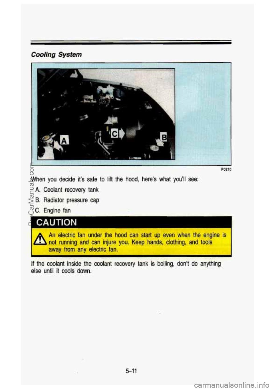 GMC SIERRA 1993  Owners Manual Cooling System 
PO21 0 
When  you  decide  it’s  safe to lift the  hood,  here’s  what  you’ll  see: 
A.  Coolant  recovery  tank 
B. Radiator  pressure  cap 
C.  Engine  fan 
CAUTION 
‘4 
An 