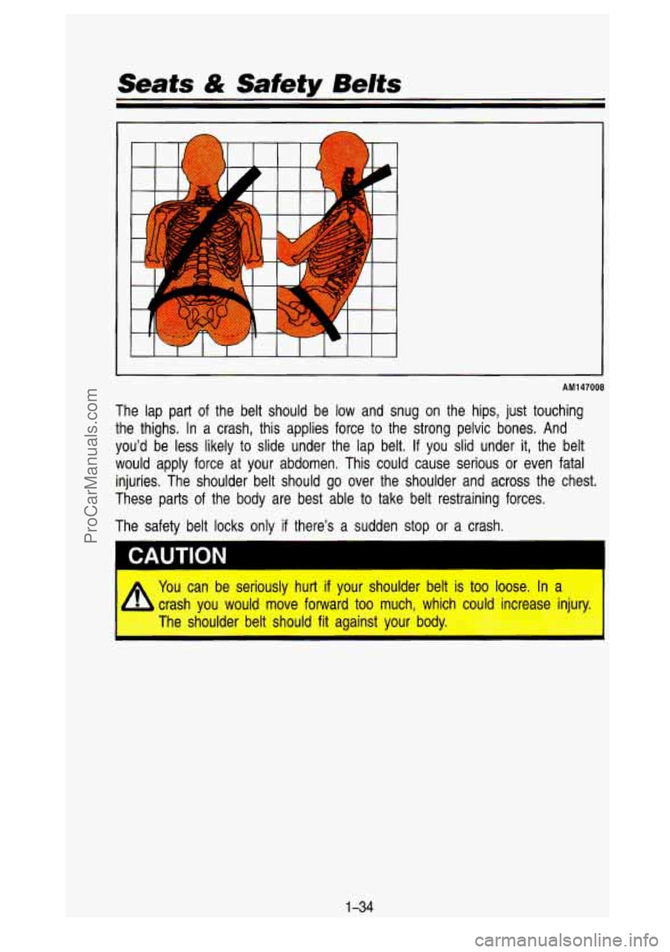 GMC SIERRA 1993 Service Manual Seats & Safety  Belts 
AM147008 
The  lap  part of the  belt  should  be  low and  snug on the  hips,  just  touching 
the  thighs.  In  a  crash,  this  applies  force  to  the  strong  pelv\
ic  bon