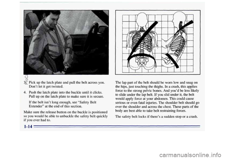 GMC SIERRA 1996 Owners Manual 3. Pick up the latch plate and pull the belt across you.
Don’t let it get twisted.
Pull up on the latch plate to make sure it
is secure.
If the belt isn’t long enough, see “Saf GMC SIERRA 1996 Owners Manual 3. Pick up the latch plate and pull the belt across you.
Don’t let it get twisted.
Pull up on the latch plate to make sure it
is secure.
If the belt isn’t long enough, see “Saf