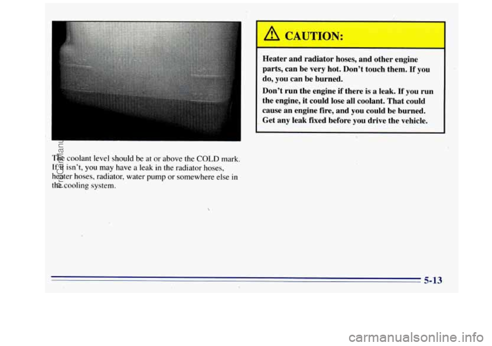 GMC SIERRA 1996 Owners Manual A CAUTION:
Heater and radiator hoses, and other engine
parts, can be very hot. Dont touch them.
If you
do, you can be burned.
Dont run the engine if there is a leak.
If yo GMC SIERRA 1996 Owners Manual A CAUTION:
Heater and radiator hoses, and other engine
parts, can be very hot. Dont touch them.
If you
do, you can be burned.
Dont run the engine if there is a leak.
If yo