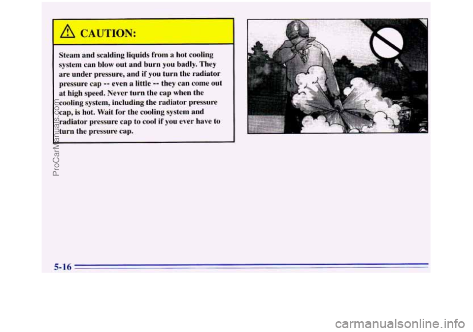 GMC SIERRA 1996 Owners Manual A CAUTION:
Steam and scalding liquids from a hot cooling
system can
blow out and burn you badly. They
are under pressure, and if you turn the radiator
pressure cap
-- even a litt GMC SIERRA 1996 Owners Manual A CAUTION:
Steam and scalding liquids from a hot cooling
system can
blow out and burn you badly. They
are under pressure, and if you turn the radiator
pressure cap
-- even a litt