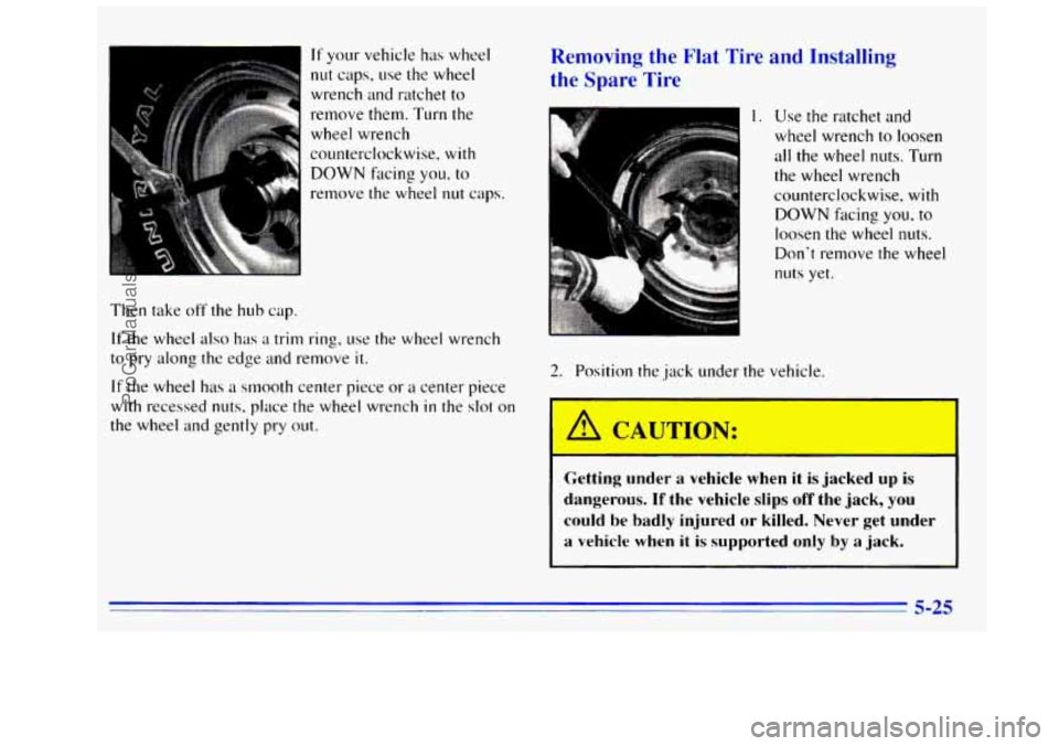 GMC SIERRA 1996 Owners Manual If your vehicle has wheel
nut caps, use the wheel
wrench and ratchet
to
remove them. Turn the
wheel wrench
counterclockwise,
with
DOWN fdcing you. to
remove the wheel nut caps.
Then take GMC SIERRA 1996 Owners Manual If your vehicle has wheel
nut caps, use the wheel
wrench and ratchet
to
remove them. Turn the
wheel wrench
counterclockwise,
with
DOWN fdcing you. to
remove the wheel nut caps.
Then take