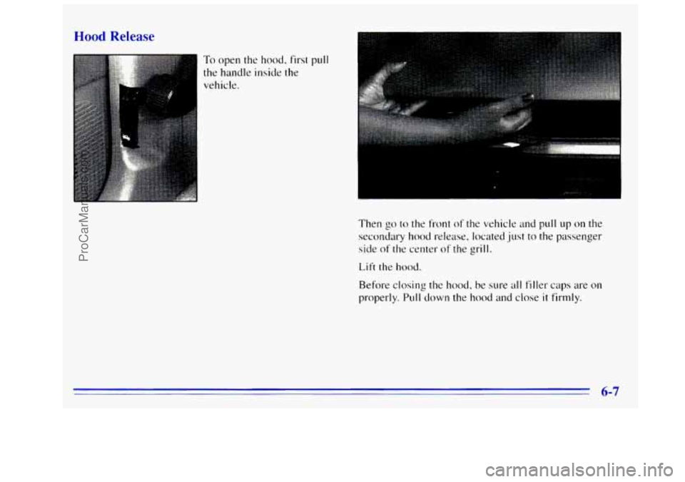 GMC SIERRA 1996 Owners Manual Hood Release
To open the hood, first pull
the handle inside the vehicle.
Then
go to the front of the vehicle and pull up on the
secondary hood release, located just
to the passenger
side
of GMC SIERRA 1996 Owners Manual Hood Release
To open the hood, first pull
the handle inside the vehicle.
Then
go to the front of the vehicle and pull up on the
secondary hood release, located just
to the passenger
side
of
