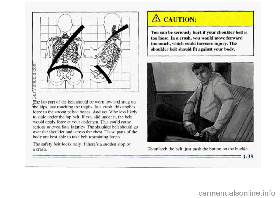 GMC SIERRA 1996 Service Manual The lap part of the belt should be worn low and snug on
the hips, just touching the thighs. In a crash, this applies
force to the strong pelvic bones. And you’d be less likely
to s GMC SIERRA 1996 Service Manual The lap part of the belt should be worn low and snug on
the hips, just touching the thighs. In a crash, this applies
force to the strong pelvic bones. And you’d be less likely
to s