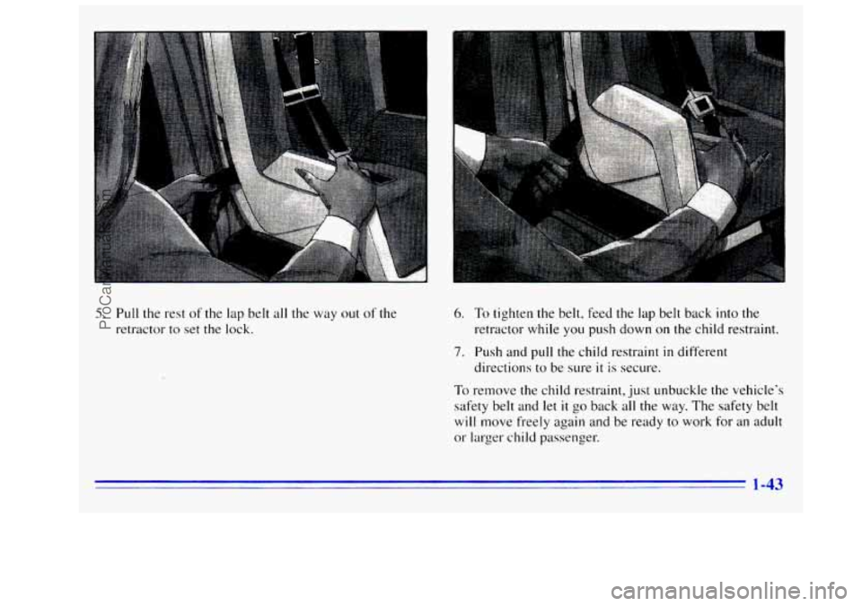 GMC SIERRA 1996 Workshop Manual 5. Pull the rest of the lap belt  all  the way  out of the 
retractor 
to set the lock. 
6. To tighten the belt, feed the lap  belt  back into the 
retractor while  you push  down on the child restrai