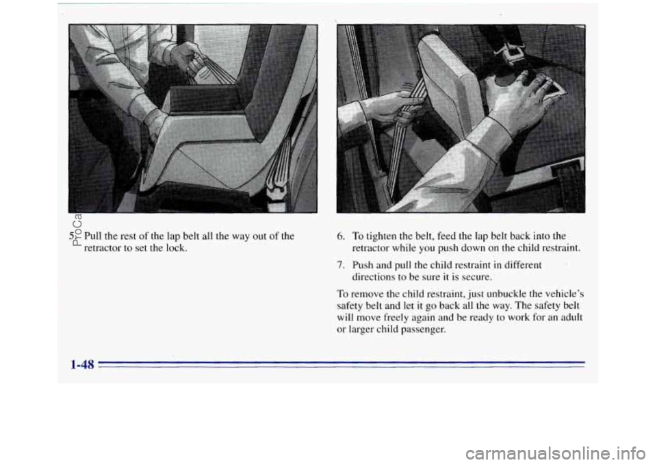 GMC SIERRA 1996 Workshop Manual c 
5. Pull the rest of the  lap belt all the  way out of the 
retractor to set the lock. 6. To  tighten the belt, feed the lap  belt back into  the 
7. Push  and pull the child restraint  in different