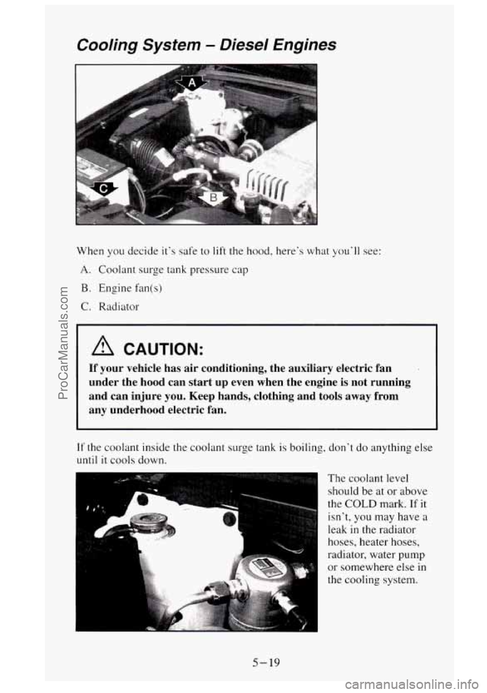 GMC SIERRA 1995  Owners Manual Cooling System - Diesel  Engines 
When you decide  it‘s safe to  lift  the hood,  here’s what you’ll  see: 
A. Coolant  surge tank pressure  cap 
B. Engine fan(s) 
C. Radiator 
A CAUTION: 
If yo
