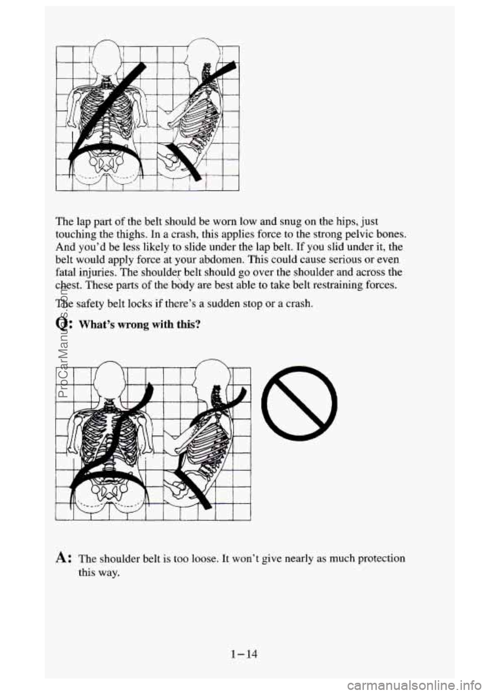 GMC SIERRA 1995 Owners Manual The lap part of the belt should be worn low and snug on the hips, just
touching the thighs. In a crash, this applies force to the strong pelvic bones.
And you’d be less likely to sl GMC SIERRA 1995 Owners Manual The lap part of the belt should be worn low and snug on the hips, just
touching the thighs. In a crash, this applies force to the strong pelvic bones.
And you’d be less likely to sl