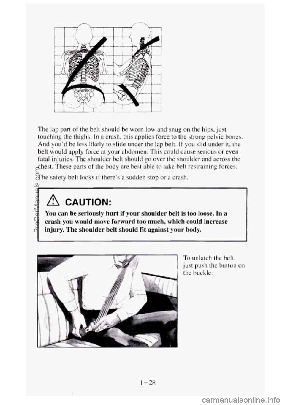 GMC SIERRA 1995 Service Manual The lap part of the belt should be worn low and snug on the hips. just
touching the thighs.
In a crash, this applies force to the strong pelvic bones.
And youd be less likely
to slide u GMC SIERRA 1995 Service Manual The lap part of the belt should be worn low and snug on the hips. just
touching the thighs.
In a crash, this applies force to the strong pelvic bones.
And youd be less likely
to slide u