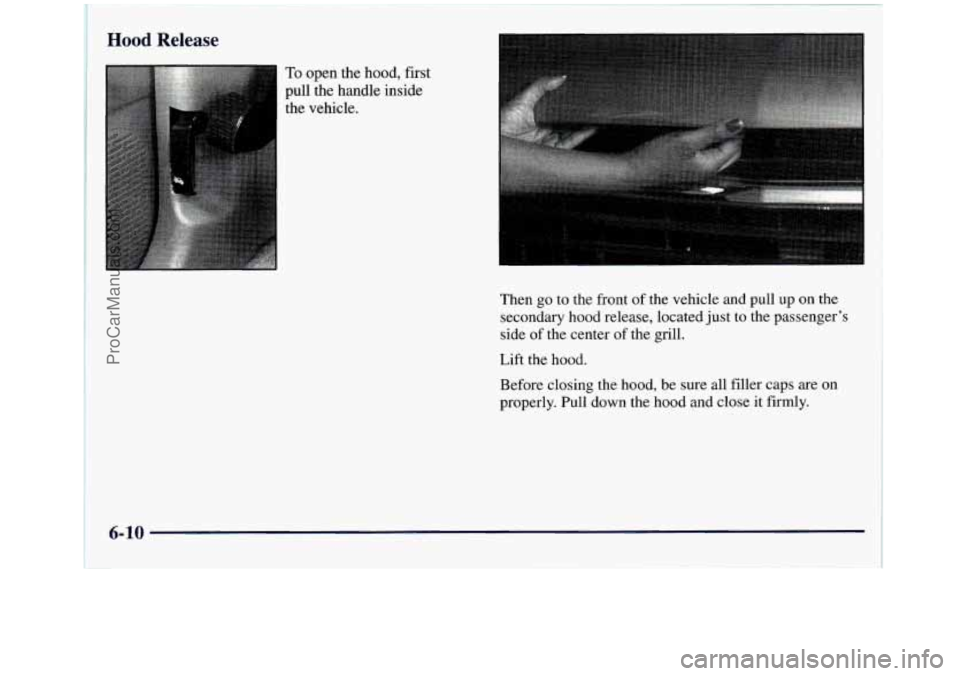 GMC SIERRA 1998 Owners Manual Hood Release
To open the hood, first
pull the handle inside
the vehicle.
Then
go to the front of the vehicle and pull up on the
secondary hood release, located just to the passenger’s GMC SIERRA 1998 Owners Manual Hood Release
To open the hood, first
pull the handle inside
the vehicle.
Then
go to the front of the vehicle and pull up on the
secondary hood release, located just to the passenger’s