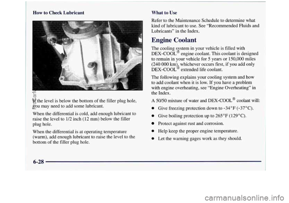 GMC SIERRA 1998 Owners Manual How to Check Lubricant
If the level is below the bottom of the filler plug hole,
you may need to add some lubricant.
When the differential is cold, add enough lubricant to
raise the level t GMC SIERRA 1998 Owners Manual How to Check Lubricant
If the level is below the bottom of the filler plug hole,
you may need to add some lubricant.
When the differential is cold, add enough lubricant to
raise the level t