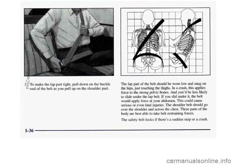 GMC SIERRA 1998 Service Manual 1. To  make the lap part  tight, pull down on the buckle 
end  of the  belt  as 
you pull  up on the shoulder part.  The  lap  part 
of the  belt  should 
be worn  low  and  snug on 
the hips, just  t