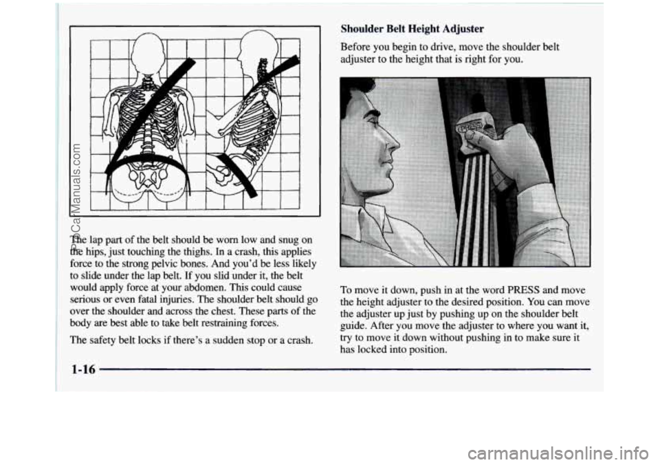 GMC SIERRA 1997 Owners Manual The lap part of the belt should be worn low and snug on
the hips, just touching the thighs.
In a crash, this applies
force to the strong pelvic bones. And you’d be less GMC SIERRA 1997 Owners Manual The lap part of the belt should be worn low and snug on
the hips, just touching the thighs.
In a crash, this applies
force to the strong pelvic bones. And you’d be less