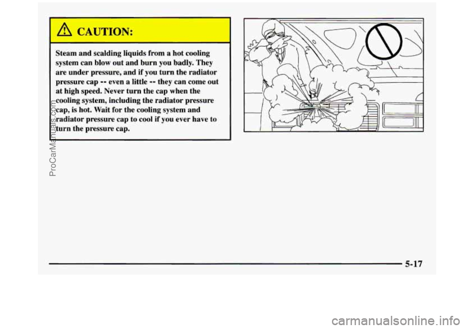 GMC SIERRA 1997  Owners Manual A CAUTION: 
Steam  and  scalding  liquids  from  a  hot cooling 
system  can blow 
out and  burn you badly.  They 
are  under  pressure,  and 
if you  turn  the  radiator 
pressure  cap 
-- even  a  l