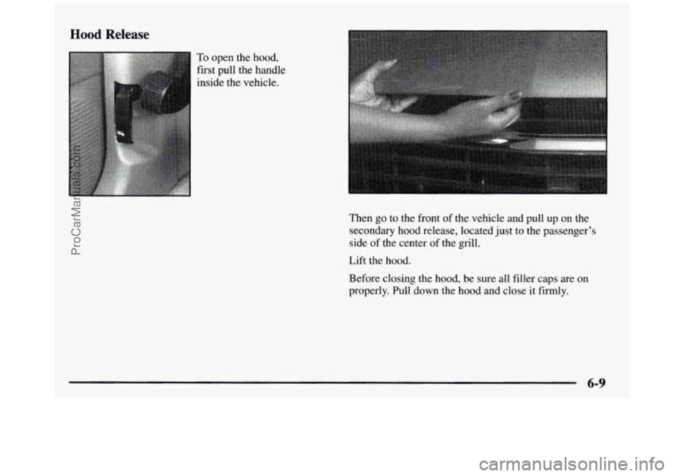 GMC SIERRA 1997  Owners Manual Hood Release 
To open the  hood, 
first pull  the  handle 
inside  the  vehicle. 
Then 
go to the  front  of the  vehicle  and  pull  up  on  the 
secondary  hood  release, located just to the  passen
