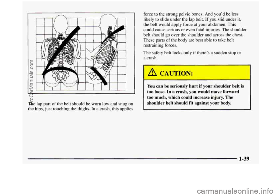 GMC SIERRA 1997 Service Manual The lap part of the  belt  should  be  worn  low  and  snug  on 
the hips, just touching the  thighs. In a crash, this applies  force 
to the  strong  pelvic  bones.  And  you’d  be  less 
likely 
t