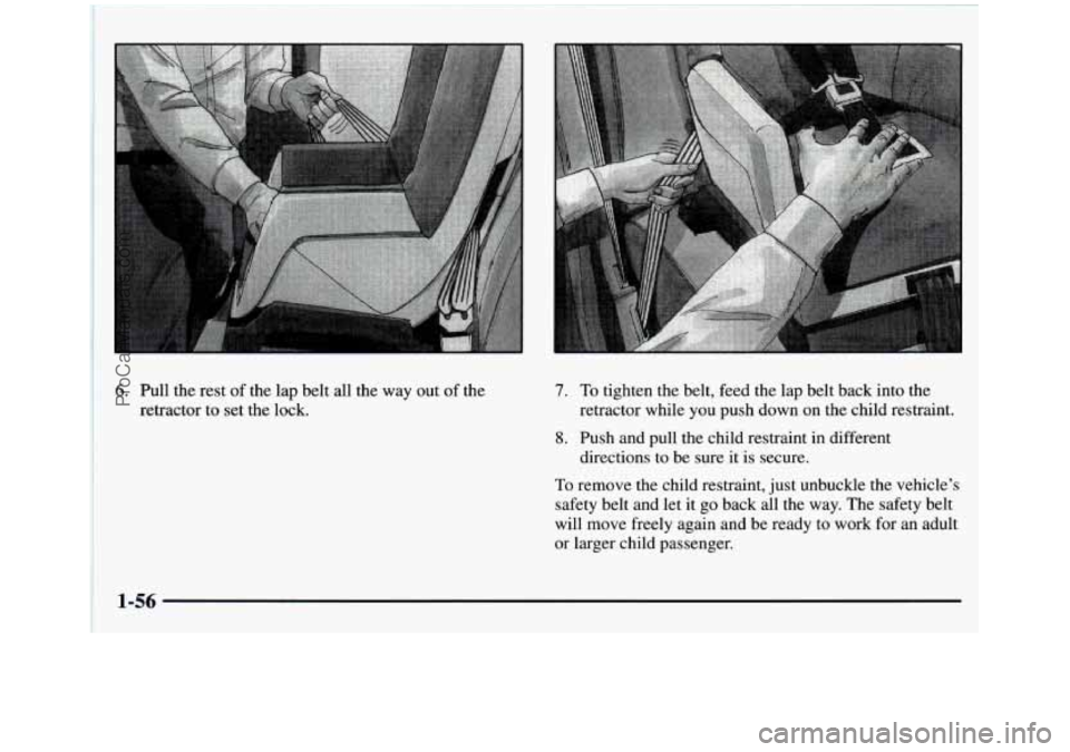 GMC SIERRA 1997 Repair Manual 6. Pull the rest of the lap belt all the way out of the
retractor to set the lock. 7. To tighten the belt, feed the lap belt back into the
retractor while you push down on the chil GMC SIERRA 1997 Repair Manual 6. Pull the rest of the lap belt all the way out of the
retractor to set the lock. 7. To tighten the belt, feed the lap belt back into the
retractor while you push down on the chil