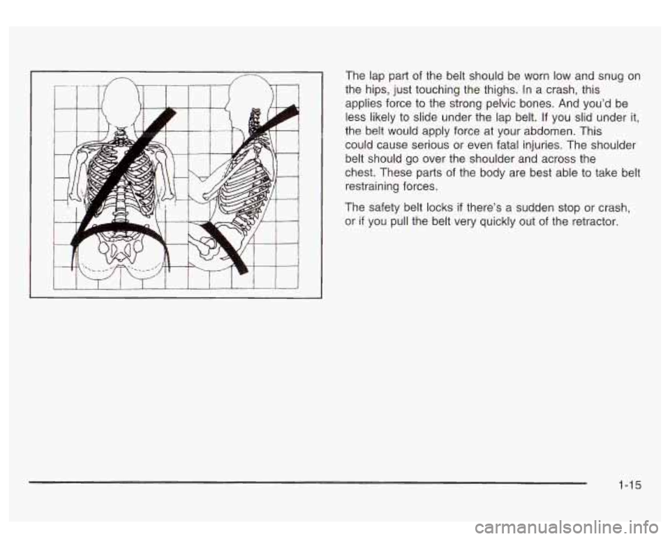 GMC SIERRA DENALI 2003  Owners Manual The lap part  of the  belt should  be worn  low and snug  on 
the  hips,  just touching  the thighs.  In a crash, this 
applies force  to  the strong pelvic  bones.  And you’d be 
less likely  to sl