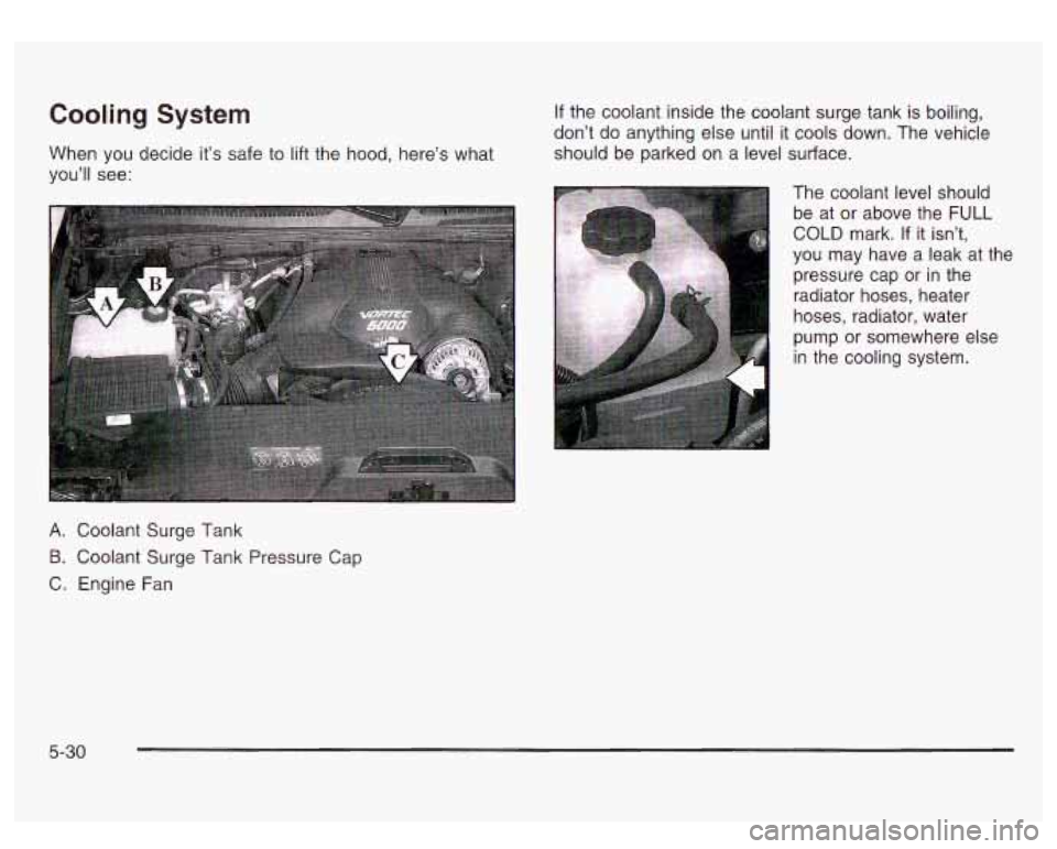 GMC SIERRA DENALI 2003 Owners Manual Cooling System
When you decide its safe to lift the hood, heres what
youll see:
If the coolant inside the coolant surge tank is boiling,
dont do anything else until it cools down. GMC SIERRA DENALI 2003 Owners Manual Cooling System
When you decide its safe to lift the hood, heres what
youll see:
If the coolant inside the coolant surge tank is boiling,
dont do anything else until it cools down.