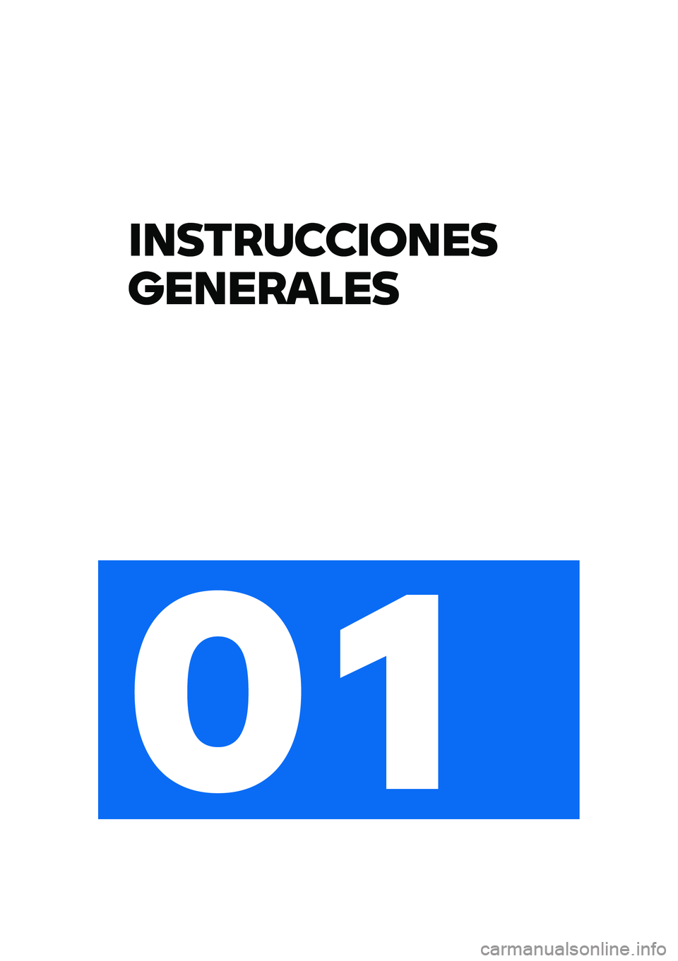 BMW MOTORRAD R 1250 RS 2020  Manual de instrucciones (in Spanish) �\f�
�������\f��
��
���
������
�\b�
 