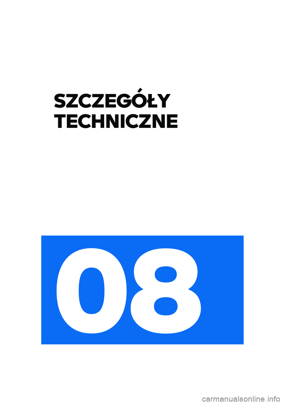 BMW MOTORRAD R 1250 RS 2021  Instrukcja obsługi (in Polish) 