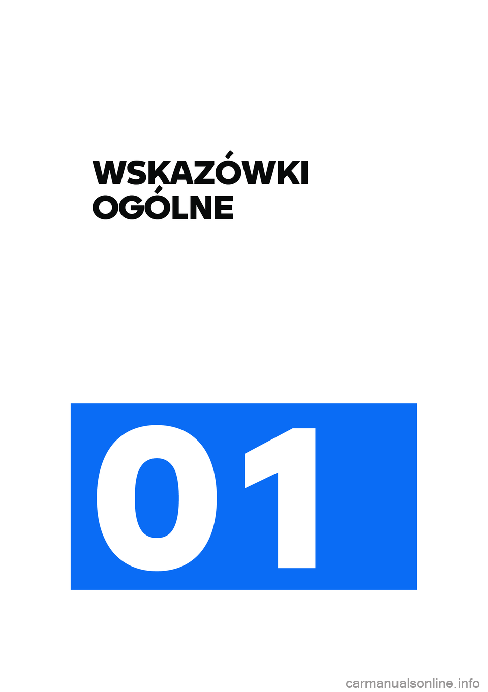 BMW MOTORRAD R NINE T URVAN G/S 2020  Instrukcja obsługi (in Polish) ���������
������
�
�\f 