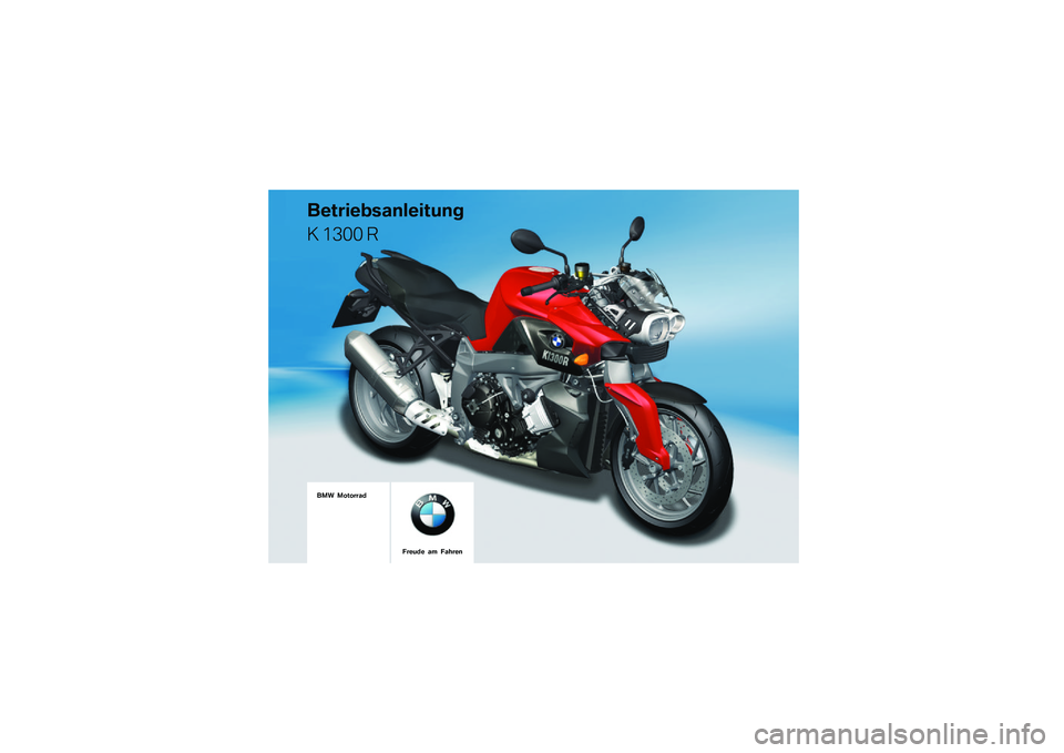 BMW MOTORRAD K 1300 R 2014  Betriebsanleitung (in German) 